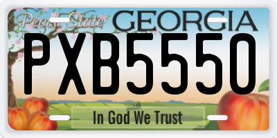 GA license plate PXB5550