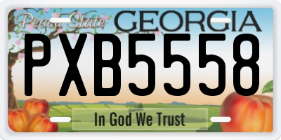 GA license plate PXB5558