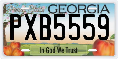 GA license plate PXB5559
