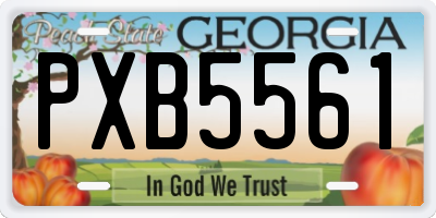 GA license plate PXB5561