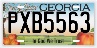 GA license plate PXB5563