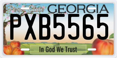 GA license plate PXB5565