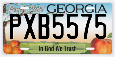 GA license plate PXB5575
