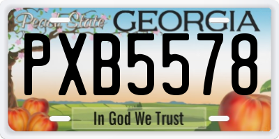 GA license plate PXB5578