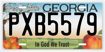 GA license plate PXB5579
