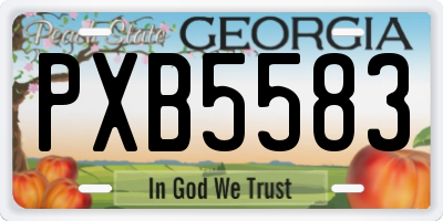 GA license plate PXB5583