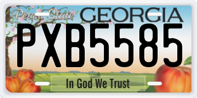 GA license plate PXB5585