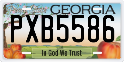GA license plate PXB5586