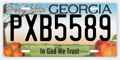 GA license plate PXB5589