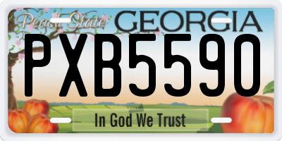 GA license plate PXB5590