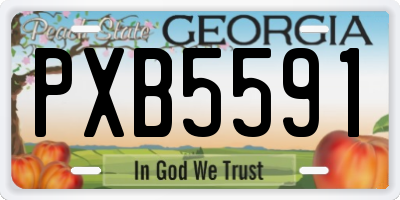 GA license plate PXB5591