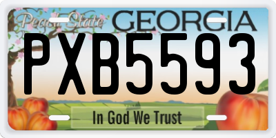 GA license plate PXB5593