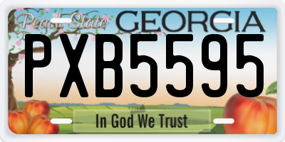 GA license plate PXB5595