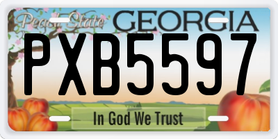 GA license plate PXB5597