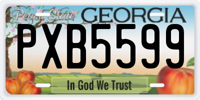 GA license plate PXB5599