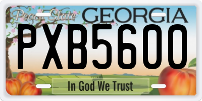 GA license plate PXB5600