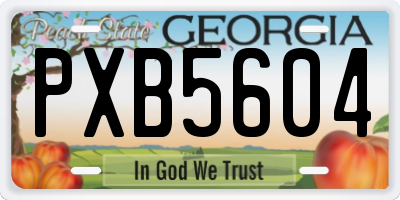 GA license plate PXB5604