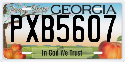 GA license plate PXB5607