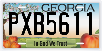 GA license plate PXB5611