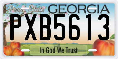 GA license plate PXB5613