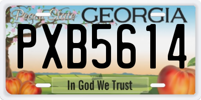 GA license plate PXB5614