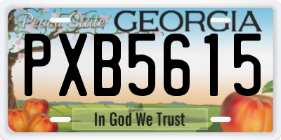 GA license plate PXB5615
