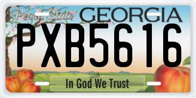 GA license plate PXB5616