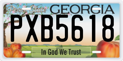 GA license plate PXB5618