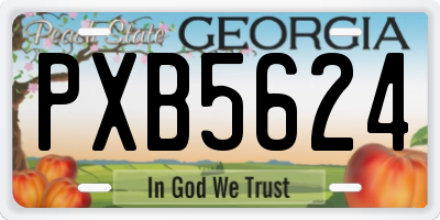 GA license plate PXB5624