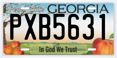 GA license plate PXB5631