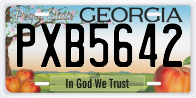 GA license plate PXB5642