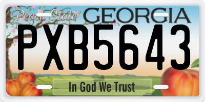 GA license plate PXB5643
