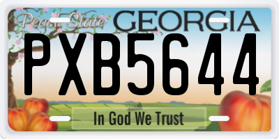 GA license plate PXB5644