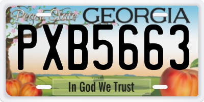 GA license plate PXB5663