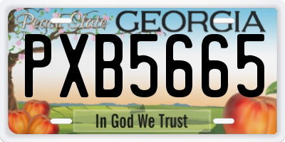 GA license plate PXB5665