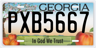 GA license plate PXB5667
