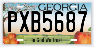 GA license plate PXB5687
