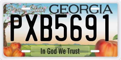 GA license plate PXB5691