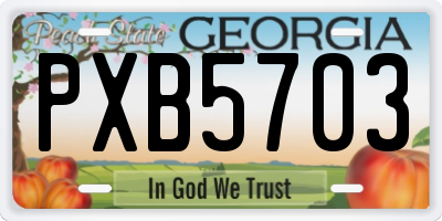 GA license plate PXB5703
