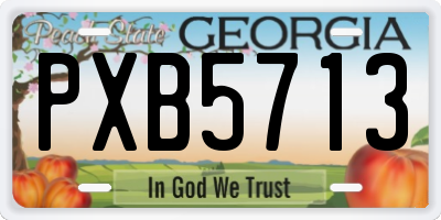 GA license plate PXB5713