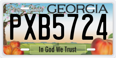GA license plate PXB5724