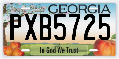 GA license plate PXB5725