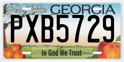 GA license plate PXB5729