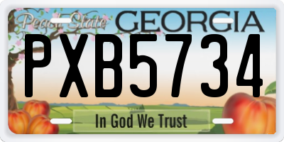 GA license plate PXB5734