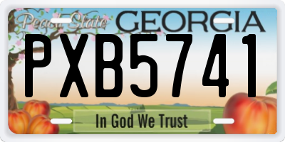 GA license plate PXB5741