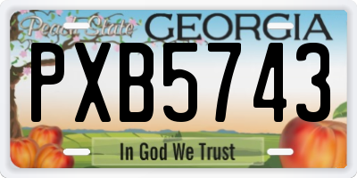 GA license plate PXB5743