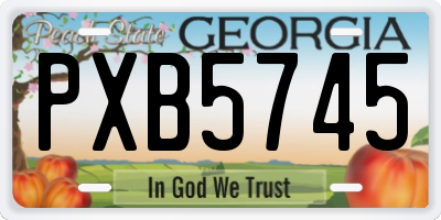 GA license plate PXB5745
