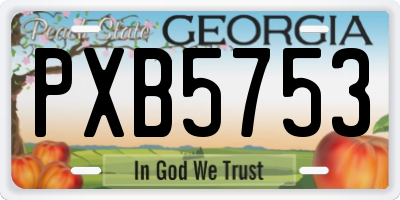 GA license plate PXB5753