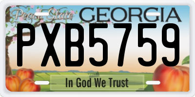 GA license plate PXB5759