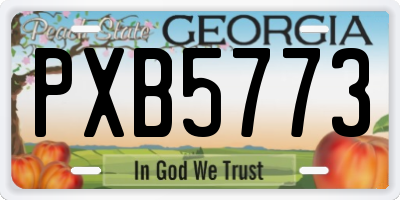 GA license plate PXB5773